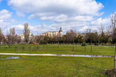 Autumn scenery with alley of fall leaves