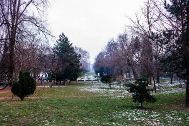 Bükreş 'teki Cismigiu parkında kış manzarası. Romanya 'nın Bükreş kentinde yer alan Cismigiu Gardens