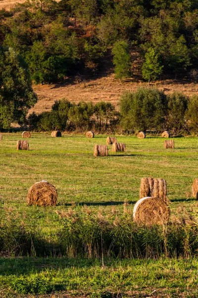 stock image Golden hay bales. Agricultural parcels of different crops and hay roll