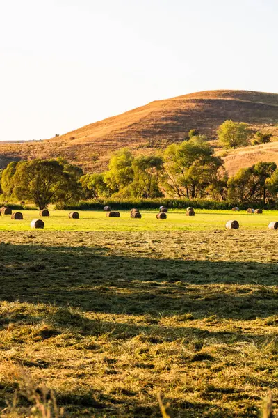 stock image Golden hay bales. Agricultural parcels of different crops and hay roll