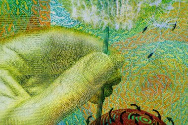 CHF para banknotları, İsviçre frangının detaylı fotoğrafı. İsviçre Frangı