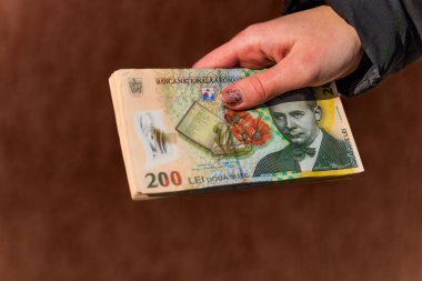 LEI para banknotları, RON 'un detaylı fotoğrafı. Romanya para birimi