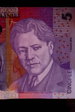 LEI para banknotları, RON 'un detaylı fotoğrafı. Romanya para birimi
