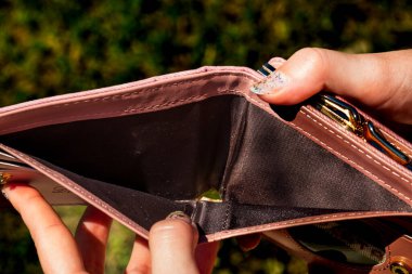 LEI para banknotları, RON 'un detaylı fotoğrafı. Romanya para birimi