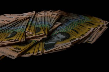 LEI para banknotları, RON 'un detaylı fotoğrafı. Romanya para birimi
