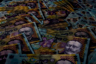 LEI para banknotları, RON 'un detaylı fotoğrafı. Romanya para birimi