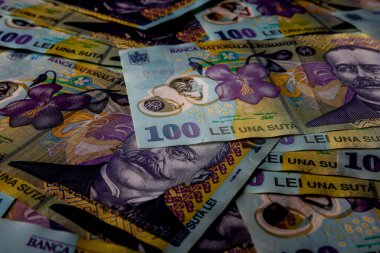 LEI para banknotları, RON 'un detaylı fotoğrafı. Romanya para birimi