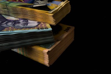 LEI para banknotları, RON 'un detaylı fotoğrafı. Romanya para birimi