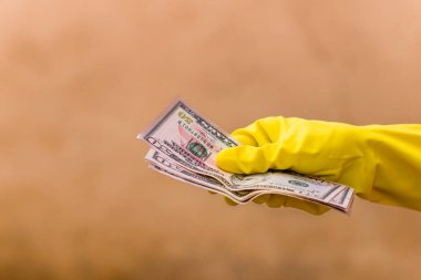 Amerikan doları banknotları, Amerikan dolarlarının detaylı fotoğrafları. Amerika Birleşik Devletleri para birimi