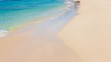 Barbados Adası 'nın Sandy Paradise Plajı, Karayip Adası