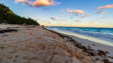 Horseshoe Bay Sahili ve Hamilton, Bermuda 'daki Deep Bay Sahili