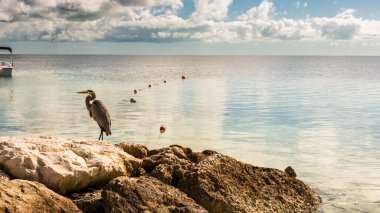 Bahamalar Coco Cay Karayip Adası - Lüks sahil vahası