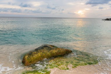 Saint Barthelemy 'deki huzurlu plaj (St. Barts, St. Barth, St. Barth)