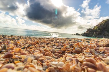 Saint Barthelemy 'deki huzurlu plaj (St. Barts, St. Barth, St. Barth)