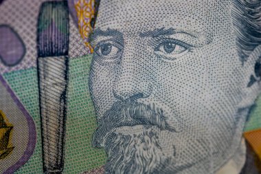 LEI para banknotları, RON 'un detaylı fotoğrafı. Romanya para birimi