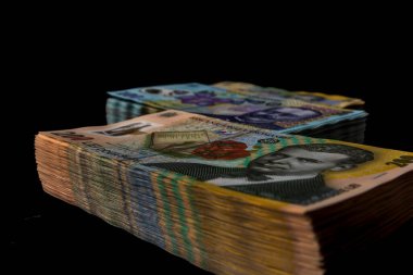 LEI para banknotları, RON 'un detaylı fotoğrafı. Romanya para birimi
