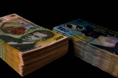 LEI para banknotları, RON 'un detaylı fotoğrafı. Romanya para birimi
