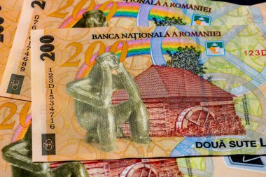 LEI para banknotları, RON 'un detaylı fotoğrafı. Romanya para birimi