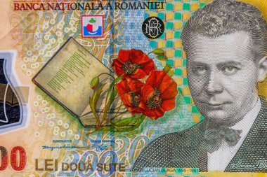 LEI para banknotları, RON 'un detaylı fotoğrafı. Romanya para birimi