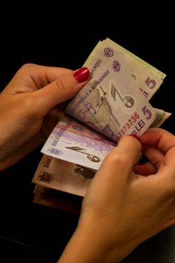 LEI para banknotları, RON 'un detaylı fotoğrafı. Romanya para birimi