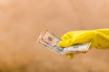 Amerikan doları banknotları, Amerikan dolarlarının detaylı fotoğrafları. Amerika Birleşik Devletleri para birimi