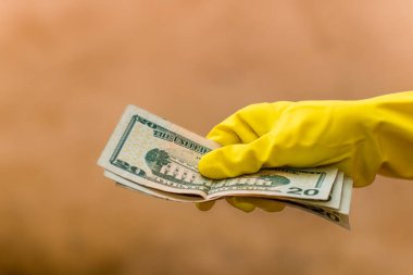 Amerikan doları banknotları, Amerikan dolarlarının detaylı fotoğrafları. Amerika Birleşik Devletleri para birimi