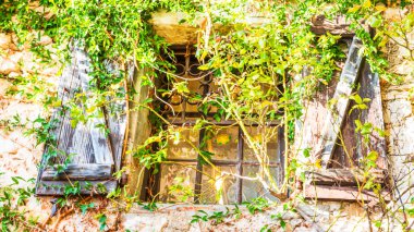 Eze köyü, Provence 'deki ortaçağ köyü, Fransız Rivierası