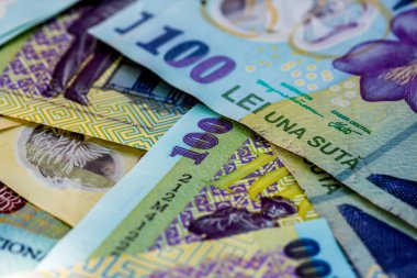 LEI para banknotları, RON 'un detaylı fotoğrafı. Romanya para birimi