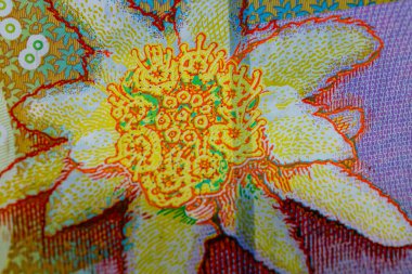 LEI para banknotları, RON 'un detaylı fotoğrafı. Romanya para birimi