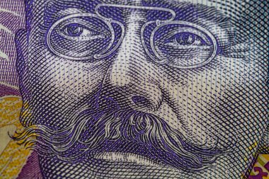 LEI para banknotları, RON 'un detaylı fotoğrafı. Romanya para birimi