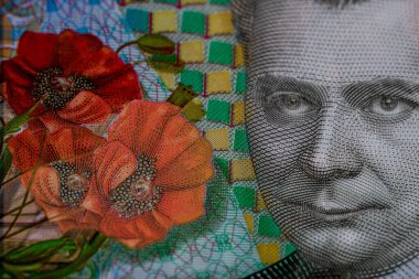 LEI para banknotları, RON 'un detaylı fotoğrafı. Romanya para birimi