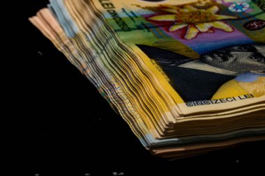 LEI para banknotları, RON 'un detaylı fotoğrafı. Romanya para birimi