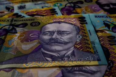 LEI para banknotları, RON 'un detaylı fotoğrafı. Romanya para birimi