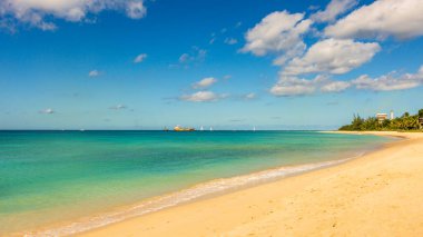Barbados Adası 'nın Sandy Paradise Plajı, Karayip Adası