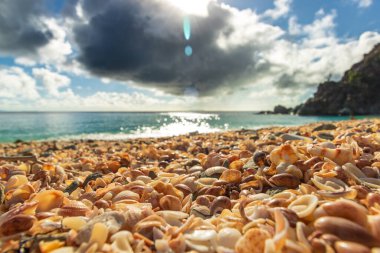 Saint Barthelemy 'deki huzurlu plaj (St. Barts, St. Barth, St. Barth)