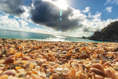 Saint Barthelemy 'deki huzurlu plaj (St. Barts, St. Barth, St. Barth)