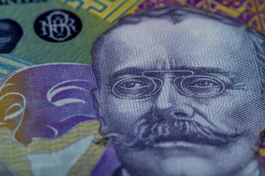 LEI para banknotları, RON 'un detaylı fotoğrafı. Romanya para birimi