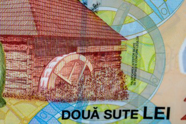 LEI para banknotları, RON 'un detaylı fotoğrafı. Romanya para birimi
