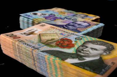 LEI para banknotları, RON 'un detaylı fotoğrafı. Romanya para birimi