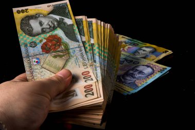LEI para banknotları, RON 'un detaylı fotoğrafı. Romanya para birimi