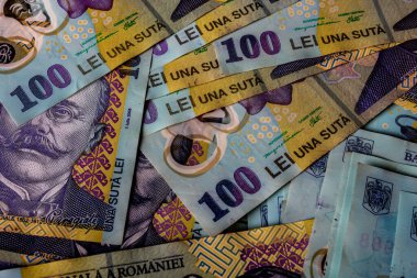 LEI para banknotları, RON 'un detaylı fotoğrafı. Romanya para birimi