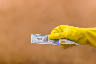 Amerikan doları banknotları, Amerikan dolarlarının detaylı fotoğrafları. Amerika Birleşik Devletleri para birimi