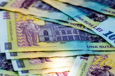 LEI para banknotları, RON 'un detaylı fotoğrafı. Romanya para birimi
