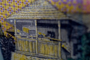 LEI para banknotları, RON 'un detaylı fotoğrafı. Romanya para birimi