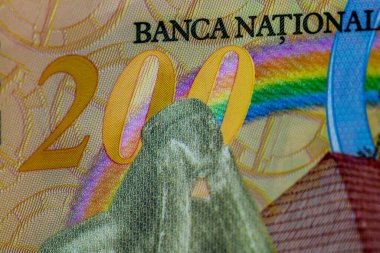 LEI para banknotları, RON 'un detaylı fotoğrafı. Romanya para birimi