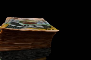 LEI para banknotları, RON 'un detaylı fotoğrafı. Romanya para birimi