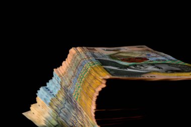 LEI para banknotları, RON 'un detaylı fotoğrafı. Romanya para birimi