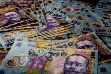 LEI para banknotları, RON 'un detaylı fotoğrafı. Romanya para birimi