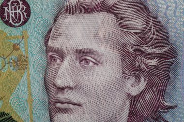 500 LEI banknot ayrıntıları - Romanya parası, enflasyon ve ekonomi konsepti