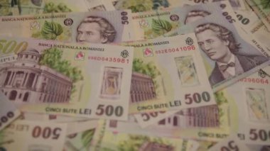 500 LEI banknot ayrıntıları - Romanya parası, enflasyon ve ekonomi konsepti
